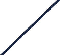 Inter-Connect GmbH | GSA & Vertrieb für Kreuzfahrtmarken in Europa