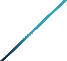 Inter-Connect GmbH | GSA & Vertrieb für Kreuzfahrtmarken in Europa